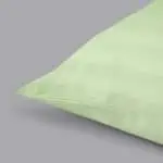 بيت مخدة فندقي قطن 2قطعة أخضر