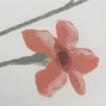 بيت مخدة ميكرو ٢ قطعة باللون الأخضر