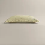 بيت مخدة ميكرو ٢ قطعة لون بيج