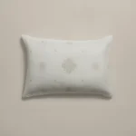 بيت مخدة ميكرو ٢ قطعة أخضر