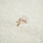 منشفة قطن مطرز أوف وايت بعدة مقاسات