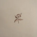 بيت تكاية قطن مطرز ٦٠-٦٠ بيج غامق