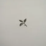 بيت تكاية قطن مطرز ٦٠-٦٠ أخضر