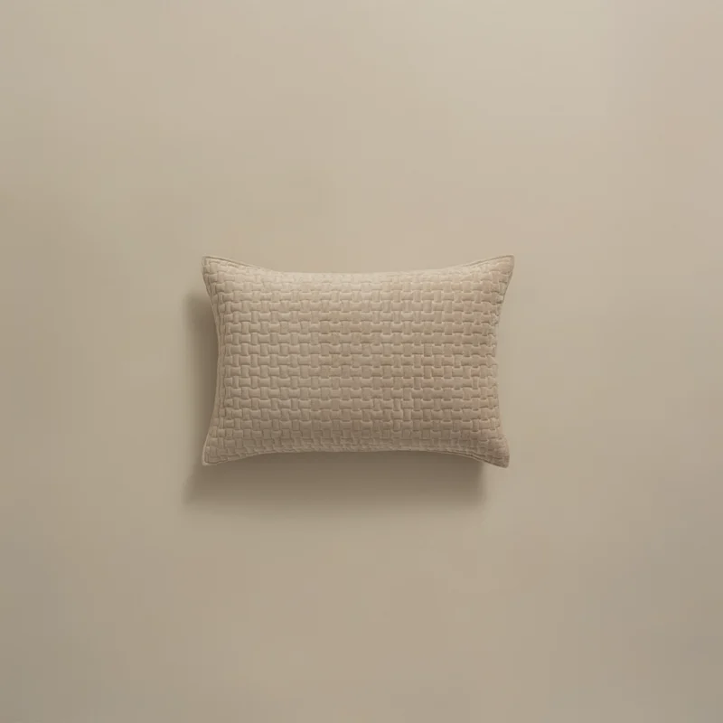 بيت مخدة مايكرو ٢ قطعة بيج غامق