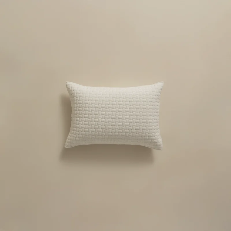 بيت مخدة مايكرو ٢ قطعة أوف وايت