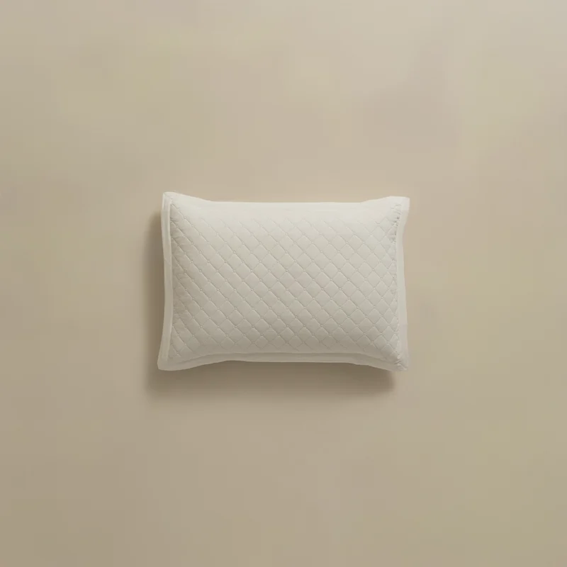 بيت مخدة ماكرو ٢ قطعة أوف وايت